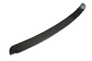 Rear Roof Spoiler for BMW E46-4D (Single), CF